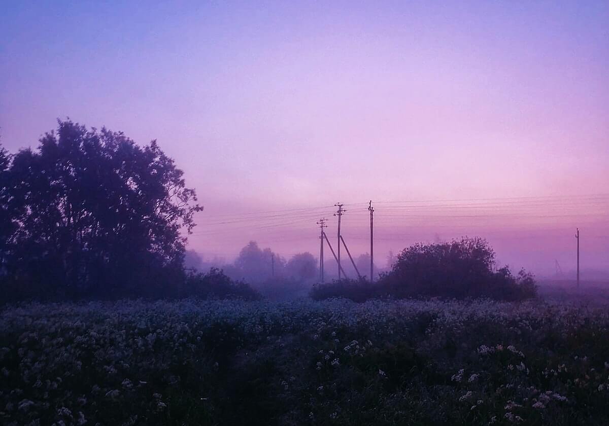 5200人主场沸腾，德甲C位加冕，樊振东凭什么让一座城倾尽全力